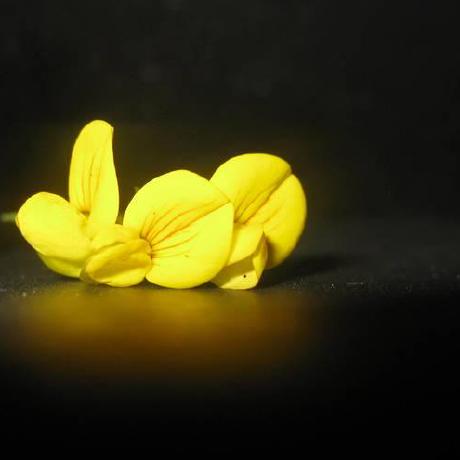 Cmpeng Chunming Peng Github - Download High Quality Vintage Illustration | Ultra HD