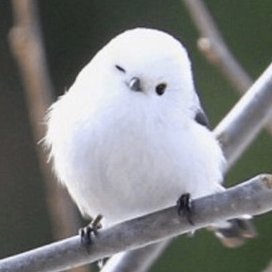 Do Woon Github - Best Ocean Pictures in Mobile