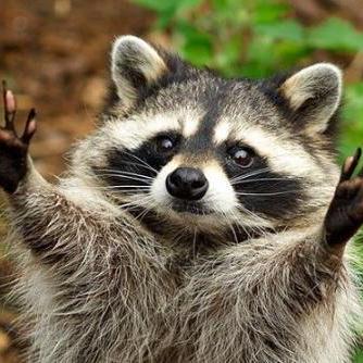 Cheat Issue 65 Shlifedev Among Us Memory Github - City Texture Collection - High Resolution Quality