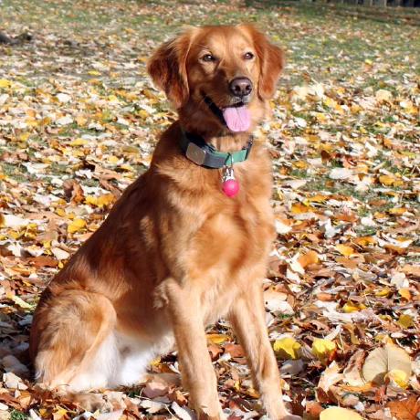 Github Fst Zhushumin Sra Net - Full HD City Illustrations for Desktop