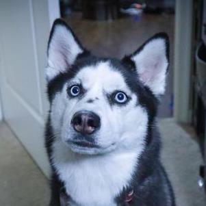 Jorden Github Jorden Williams Github - HD Geometric Backgrounds for Desktop