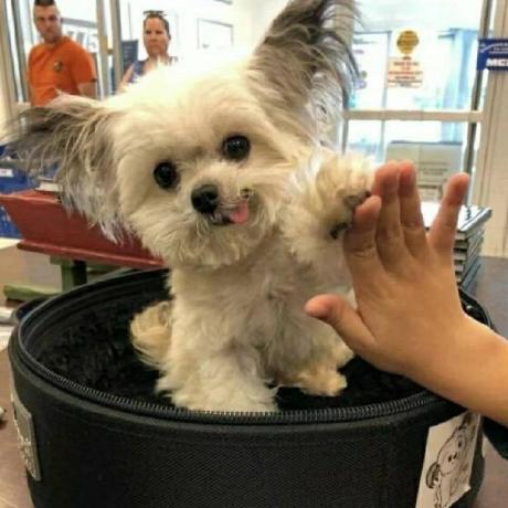 Github Vonng Ddia Designing Data Intensive Application Ddia - Creative Mobile Colorful Illustrations | Free Download