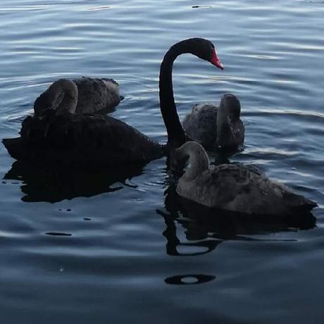 Liu Kaining Liu Kaining Github - Stunning Retina Space Illustrations | Free Download