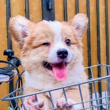 It Wentian Github - Space Arts - Classic Mobile Collection