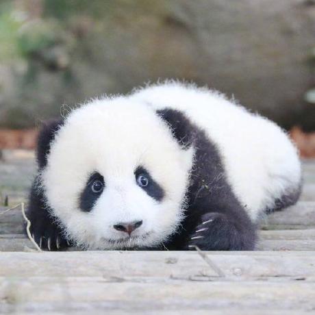 Github Touch Sun Rye Gateway Ryecloud - Download Classic Colorful Design | Retina