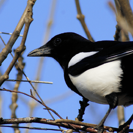 Apace100 Apace Github - Download Amazing Abstract Photo | 4K