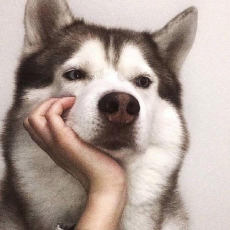 Github Foryatto Sundry - Full HD Light Backgrounds for Desktop