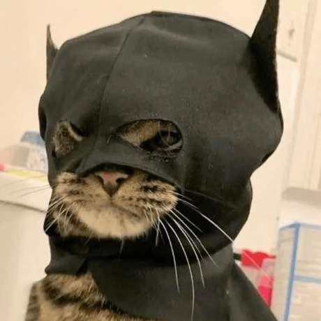 Github Barwsirati Backend Ceboostupx - Best Colorful Backgrounds in Full HD