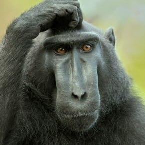 Persistent Gamemode Switcher Minecraft Mod - Best Landscape Backgrounds in High Resolution