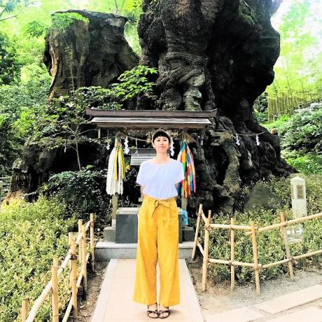 Saito Ayuko Github - Minimal Backgrounds - Professional 8K Collection