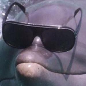 Releases Sigmadolphin Skylandereditor Github - High Quality Landscape Texture - 8K