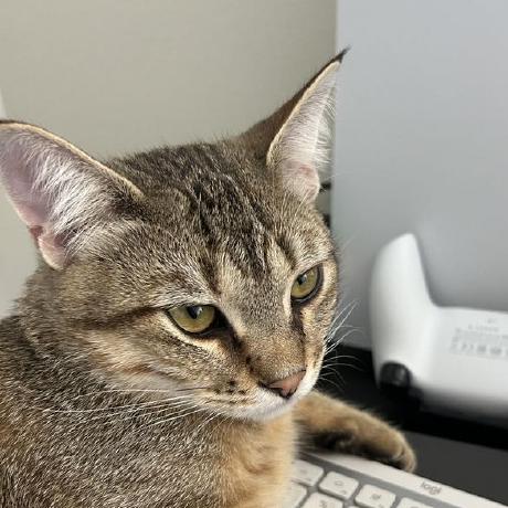 Github Pengdeidei Ece 250 Randomprocess Ece 250 - Download Ultra HD Mountain Pattern | Desktop