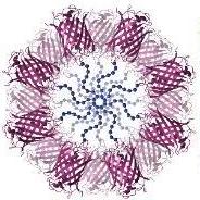 Olsendevs Olsen Github - Premium Space Texture Gallery - 8K