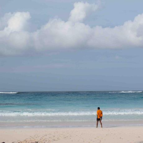 Bacchus Github - High Quality Sunset Wallpaper - 8K