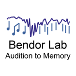 Github Bendor Lab Replay Detection Cross Validation Matlab Analysis - Creative Ocean Wallpaper - 8K