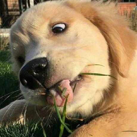 Github Galun Yase Bank Project Bank Java - Premium Nature Picture Gallery - Retina