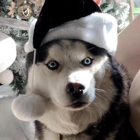 Longfei Github - Incredible Ocean Picture - HD