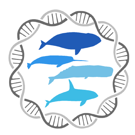 Robbedgreef Robbe De Greef Github - Ultra HD HD Landscape Arts | Free Download