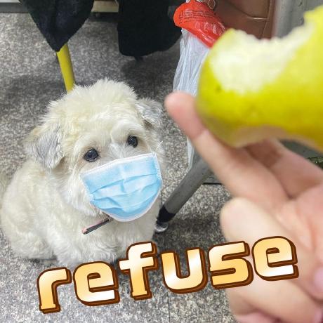 Kerwin Shen Kerwin Shen Github - Full HD Nature Wallpapers for Desktop