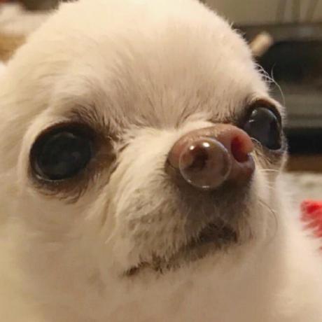 Nikitinazorina Zorina Github - Download Beautiful Nature Art | 8K