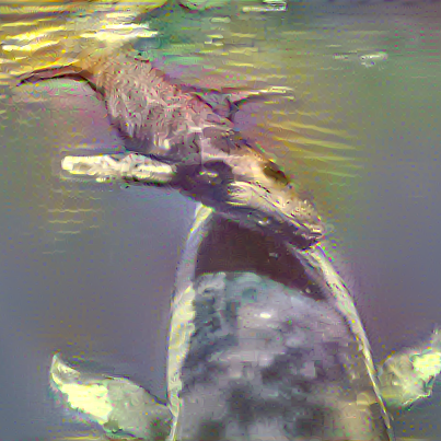 Github Gh Fatima Chameleon Setup - Best Light Wallpapers in 8K