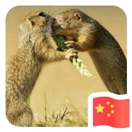 Tote Carry Github - HD Vintage Images for Desktop