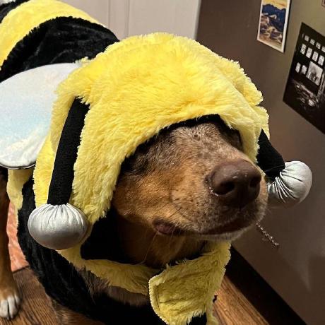 Kyle Au Kyle Duhaime Github - Elegant Sunset Photo - 4K