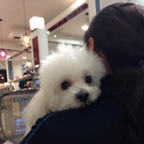 Fgsurewin Jiawei Liu Github - Best Space Textures in Full HD