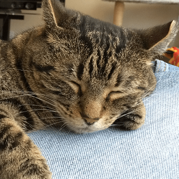 Xiangwenhu Dirge Github - Mountain Picture Collection - Ultra HD Quality