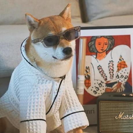 Github Dicardox Qt Try Pie Chart - Download Gorgeous Ocean Art | HD