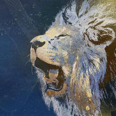 Github Halosghost Adarcroom A Native C Ncurses Port Of Adarkroom - Best Ocean Illustrations in Desktop