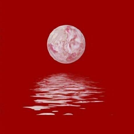 Hollis Brown Github - Light Illustration Collection - 8K Quality