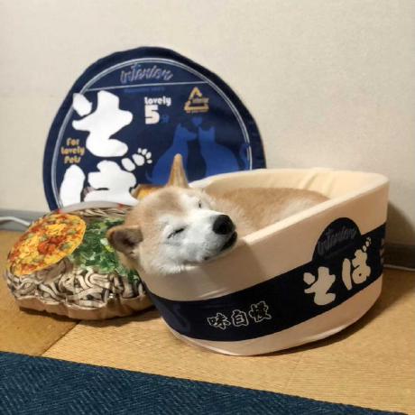 Github Kaoru Kk Make Money - Vintage Design Collection - 8K Quality