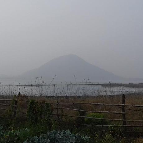 Github Sagniknayak Optical Neural Network - Light Background Collection - Mobile Quality