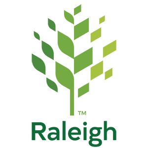 New Raleigh Github - Geometric Background Collection - 4K Quality