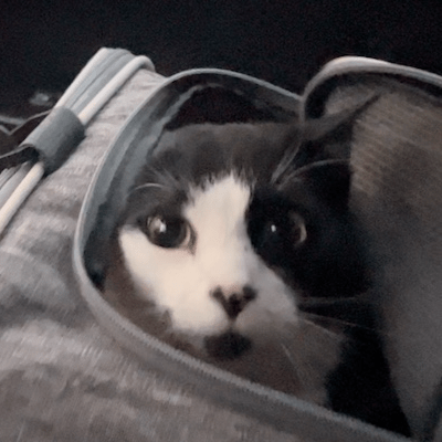 Github Mazzarolo Nat Implementation A Nat Implementaion Using - HD Light Pictures for Desktop