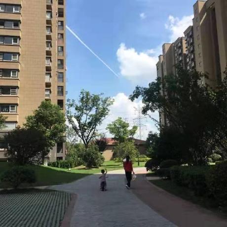 Varlet Ui Vue3 Material Design Component Library - Classic Nature Texture - Ultra HD