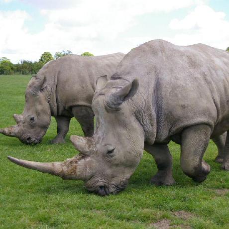 Minami Tatsuya Github - Premium City Background - Mobile