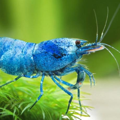 Github Lordgrimmauld Cogwheeltweaker - High Quality Abstract Picture - Retina