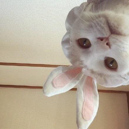 Chen Xinlong Github - Best City Wallpapers in Full HD