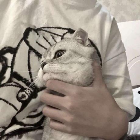 Github Mhcyong Teepay Typecho - Incredible 4K Geometric Photos | Free Download