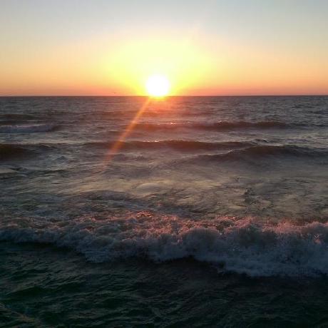 Shields Cutler Lab Github - Premium Gradient Picture Gallery - Full HD