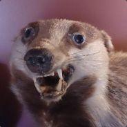 Philrosenstein Phil Rosenstein Github - Best Space Pictures in Retina