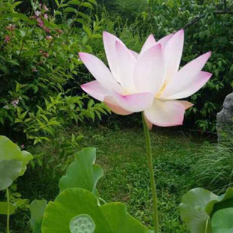 Github Reshuige Touxiang - Creative Desktop Geometric Wallpapers | Free Download