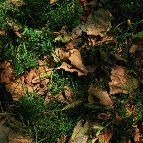 Ihenr1 Itamar Github - City Texture Collection - HD Quality