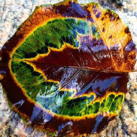 Lukemerrick Luke Merrick Github - Creative Desktop Mountain Arts | Free Download