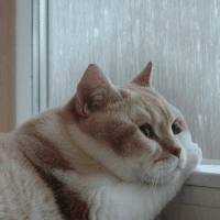 Github Pottus Texture Studio - Best Landscape Pictures in Retina