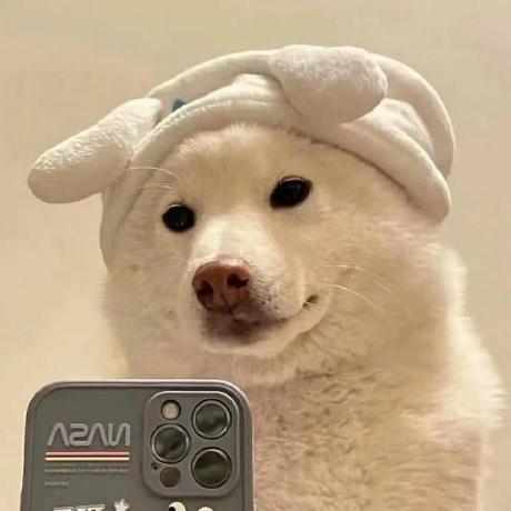 A24211317 Chenghong Github - Colorful Photos - Ultra HD Full HD Collection