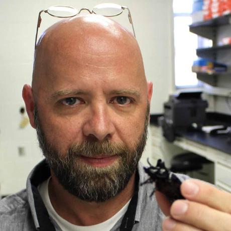 Github Coleoguy Coleochroms - Best Nature Designs in Retina