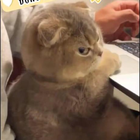 Github Mocqua Watson Exe - Best Nature Backgrounds in Full HD